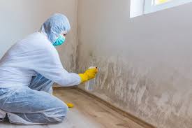 Best Mold Damage Restoration in Sheffield, IA